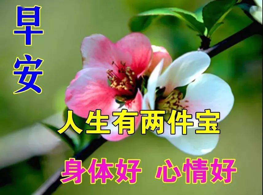 6月9日最漂亮早上好动态表情图片大全早上好动图美图大全