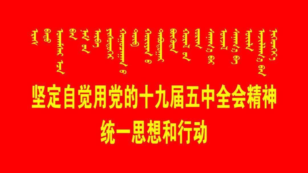 【民族团结一家亲】民族团结金句"习"来!