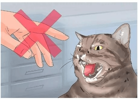 嘶嘶意思 4d0845800450478381f8583b4e6c7cf7.png