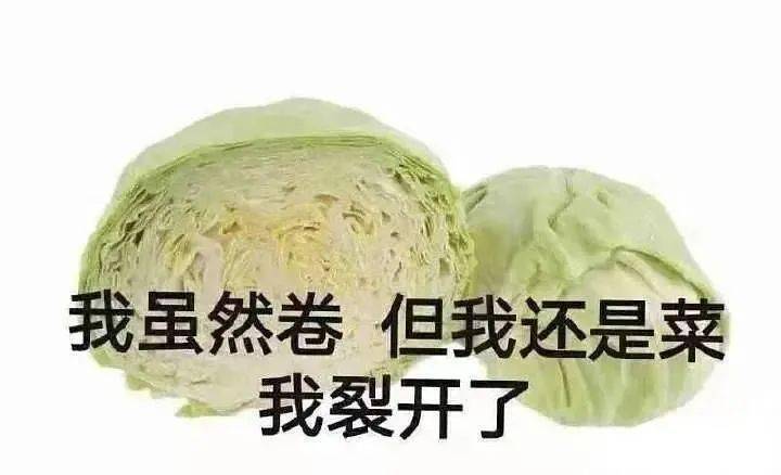 20个抖音近期超火表情丨很生气但也不敢胡闹,怕自己不