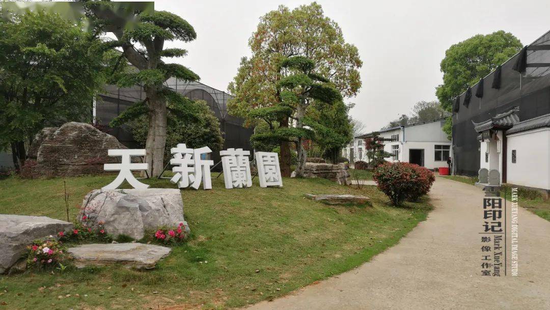 城市一隅 · 天新生态园(雨湖区) · 雪阳印记 | 水南水北绿如绣 园内