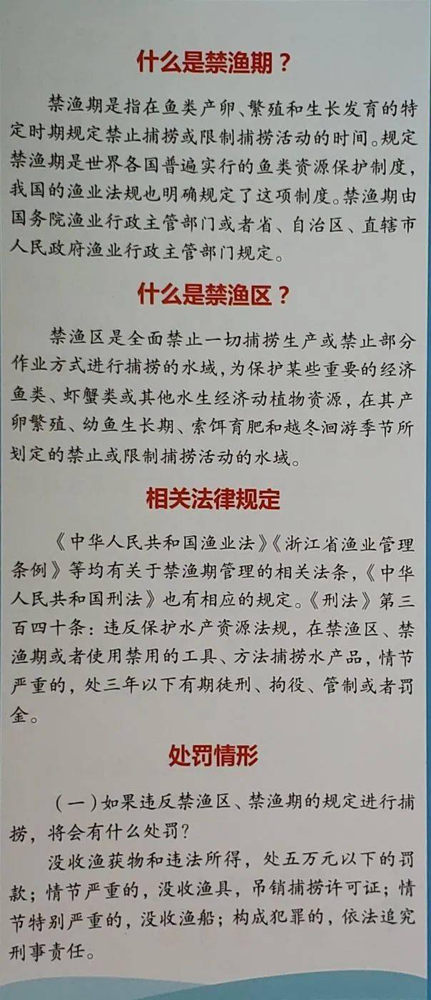 2021年海洋伏季休渔宣传浙江省海洋休渔禁渔的通告