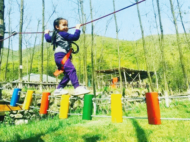 大草坪可以放风筝,丢手绢 还有户外攀岩墙, 小型沙滩,书吧