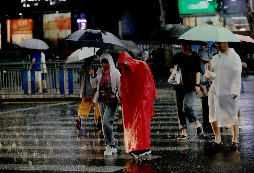 泉城降暑又解渴!看雨中百态