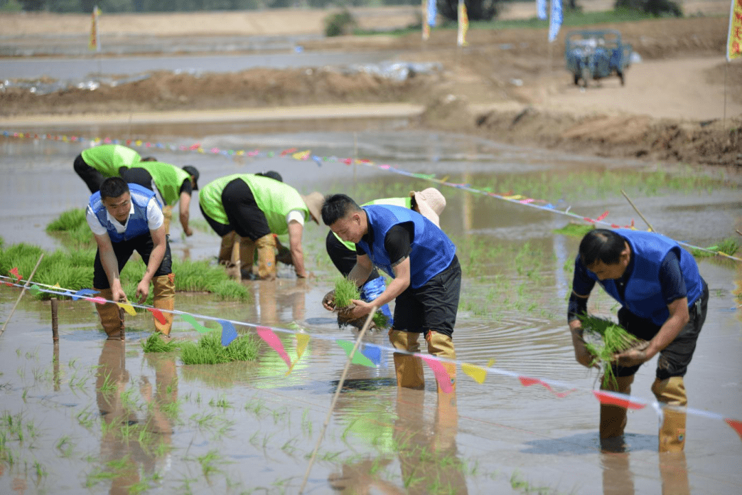 彰武县首届插秧节活动圆满成功