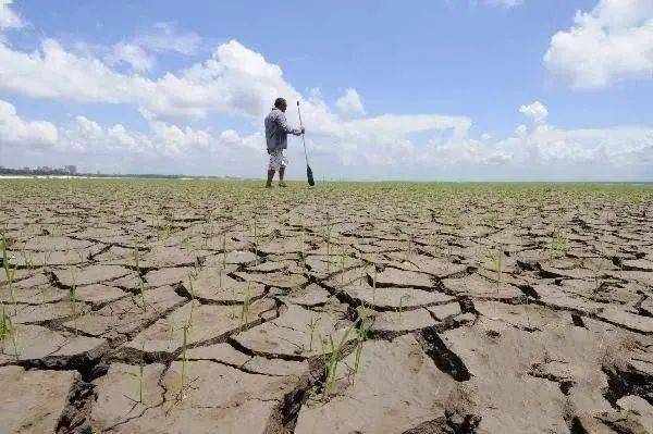 国际世界粮仓巴西遭百年大旱水资源紧缺警报拉响