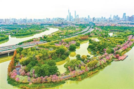"广州碧道"获世界景观建筑奖