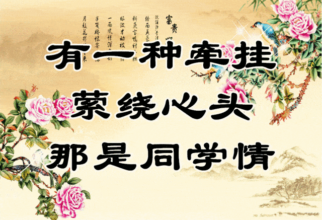 难忘同学情:早安!老同学!