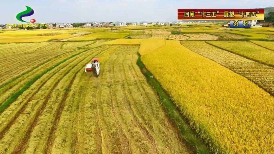 完善提升农村生活污水,垃圾处理等基础设施,全面改善农村生产生活条件