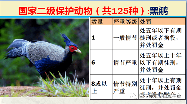 国家最新125类二级野生保护名录图片及违法对应刑责