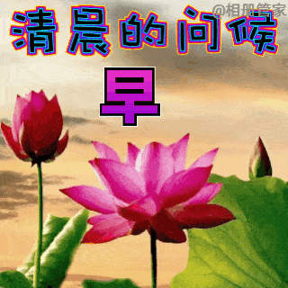 不用打字就可以聊天的图片