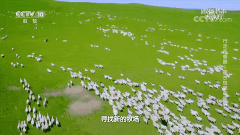 央视用400集《跟着书本去旅行》带你读万卷书行万里路!