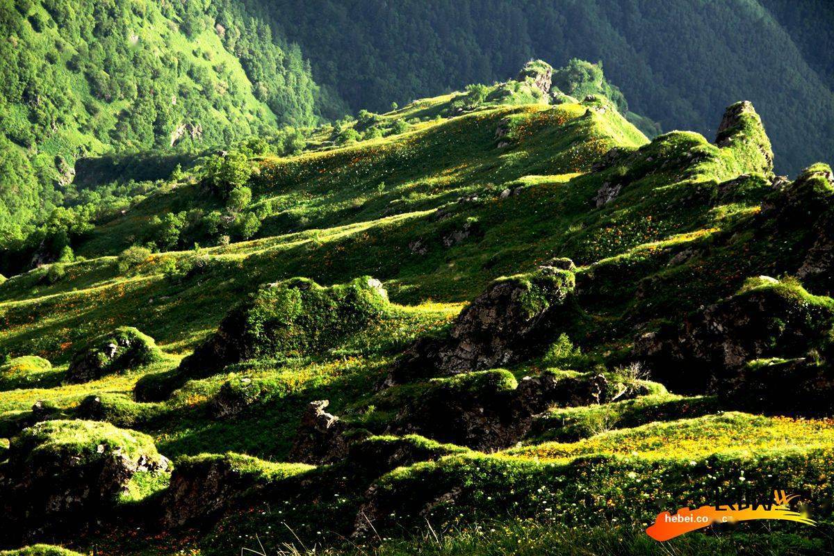 河北小五台山国家级自然保护区漫山遍野的植被浓密葱郁.
