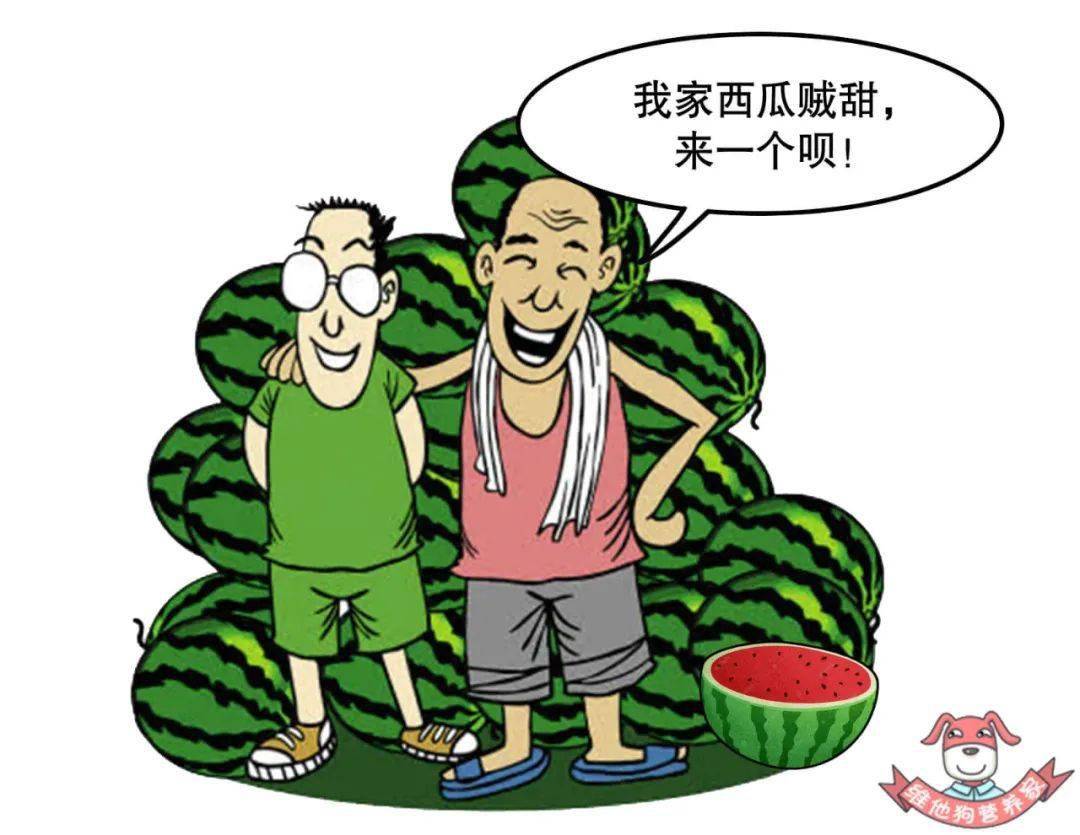 夏天吃西瓜我们应该注意哪些食品安全问题?