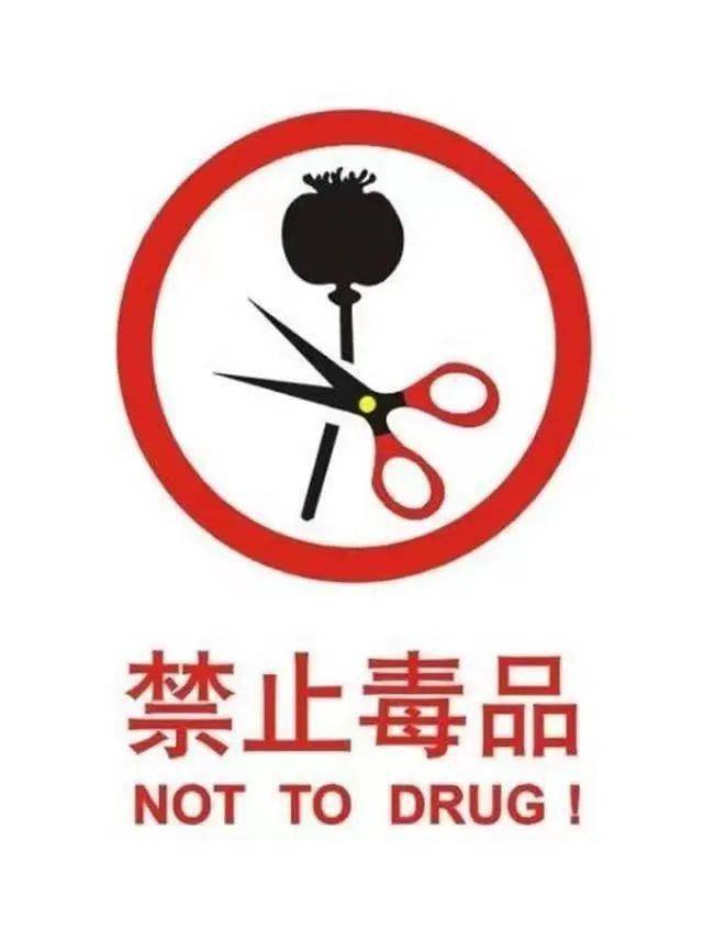 经院节日珍爱生命远离毒品
