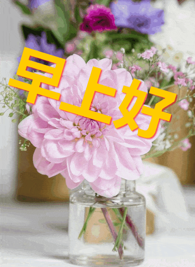 640_874 竖版 竖屏