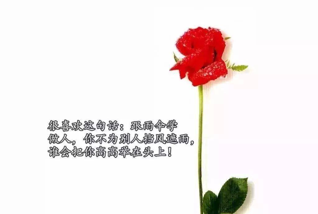 高冷霸气超拽的句子,找几句你喜欢的!收好