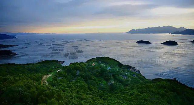 东海的日出特别早,三沙镇的花竹村又位于霞浦县最东端的一座山坡上,山