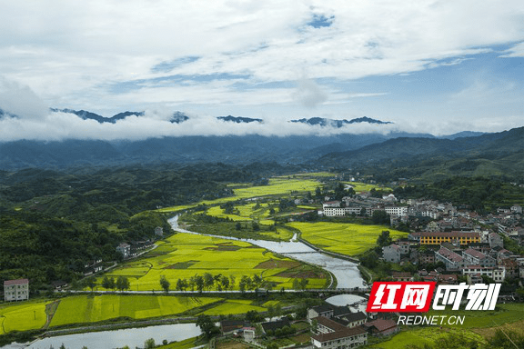 湖南省美丽乡村路.