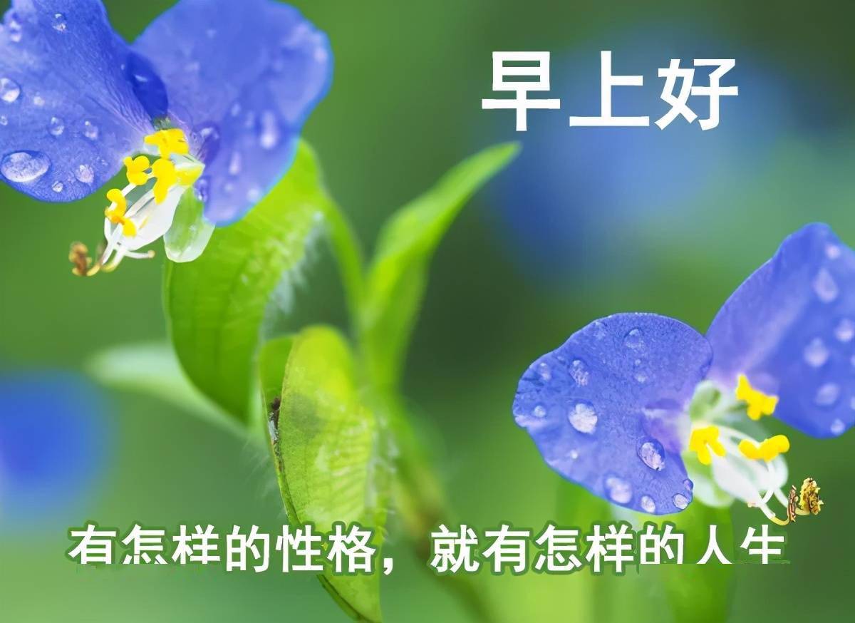 早安吉祥:将所有的祝福都送给你,惟愿你一世安好,顺意