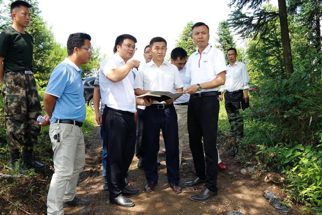 龙滨到龙泉镇,扬武镇调研林下经济产业发展工作_丹寨