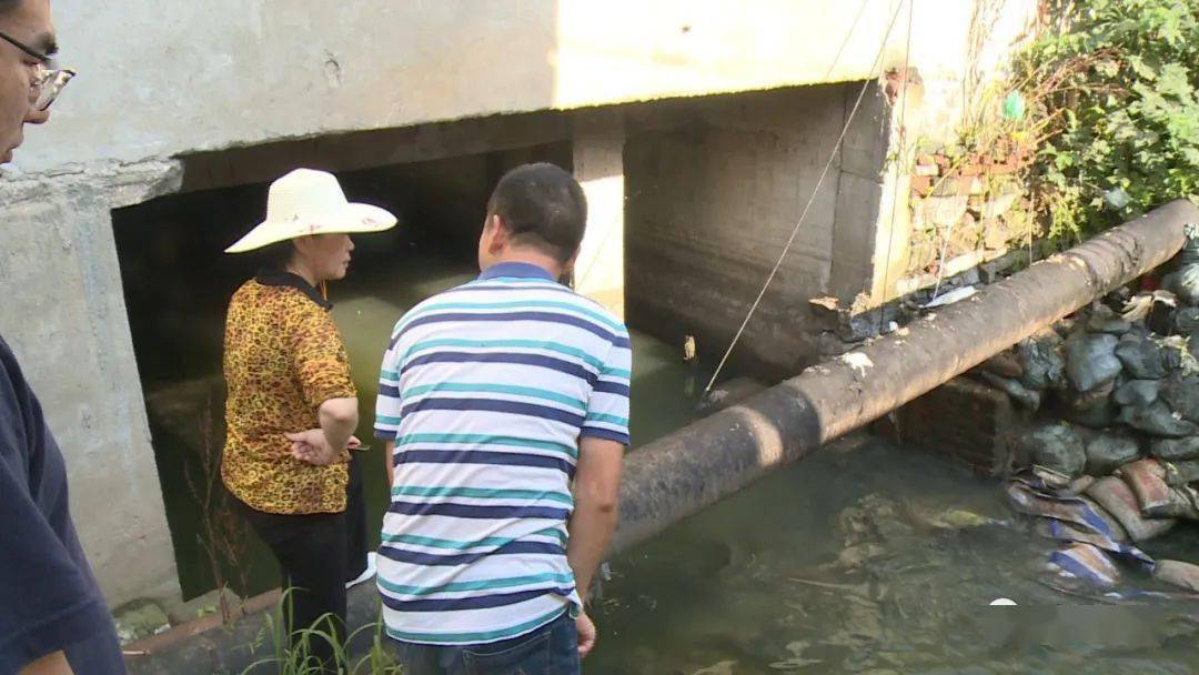 郭茂兰调研指导城区黑臭水体治理工作