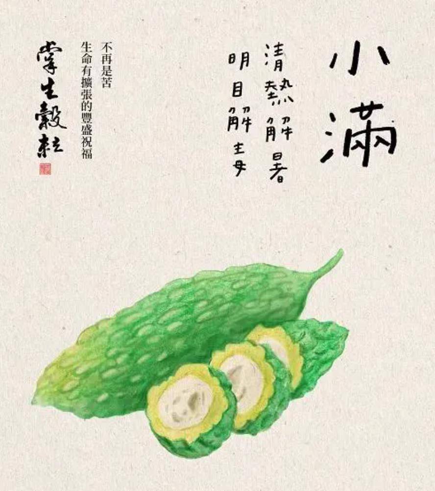 台湾掌生谷粒24节气海报设计