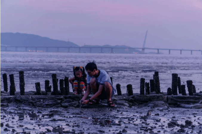 深圳湾真的需要人工沙滩