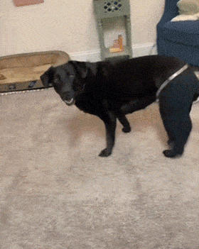 280_351 竖版 竖屏