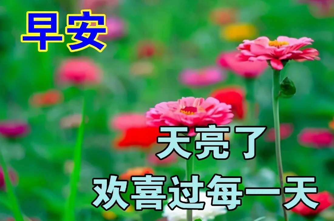 最新最美早安动态祝福图片,最温暖的早安祝福精选语录