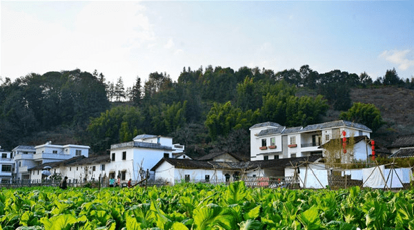 莲麻小镇作为广州从化的五大美丽乡村群之一