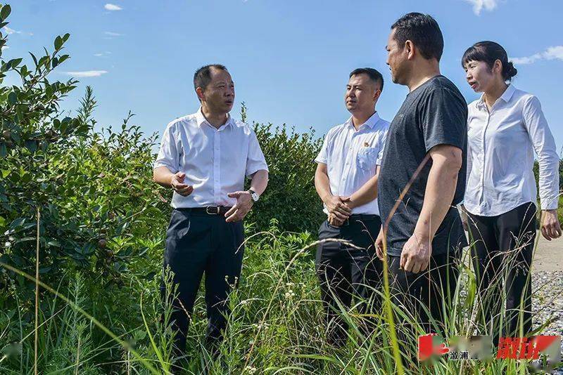 溆浦事郑湘因地制宜精准施策把乡村振兴工作落实在大地上