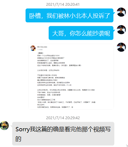 就抄袭事件向up主林小北道歉