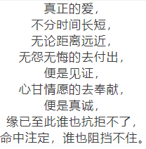 缘分,皆是天意