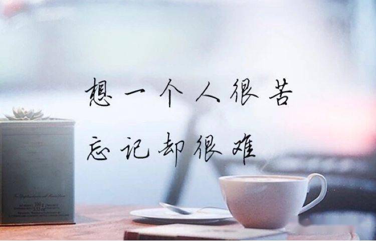 超级个性的签名说说,聊天必备利器,情商超级高!