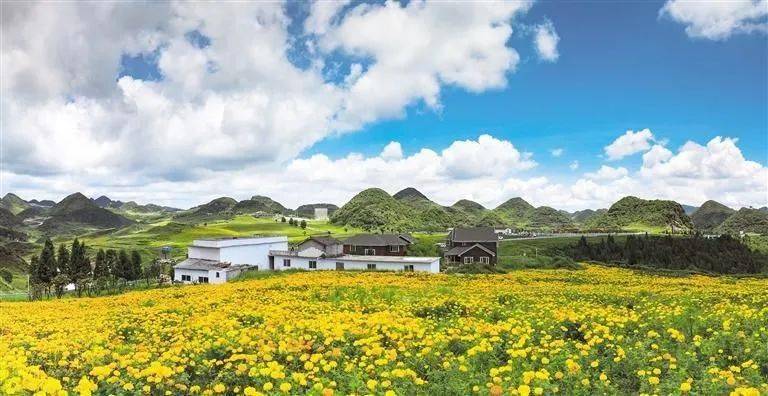 水城区野鸡坪花海.孙大方 摄