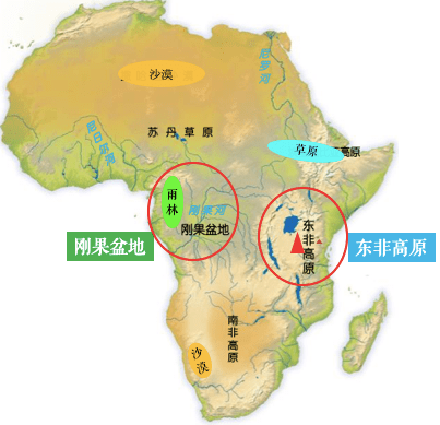 我们来分析一下:刚果盆地刚果盆地十分富饶, 是热带雨林区,常年都有