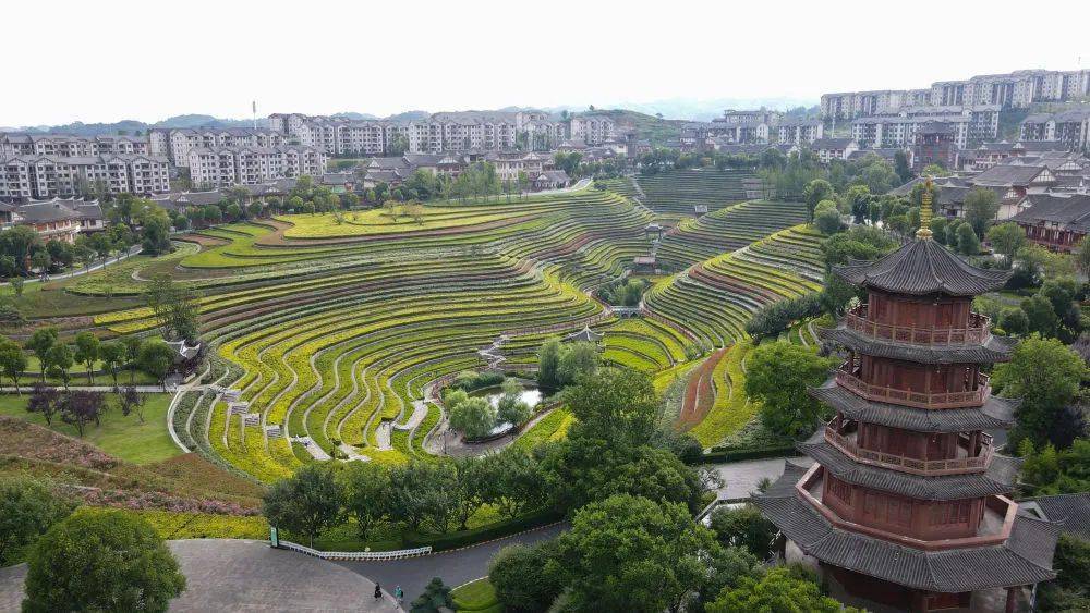 奢香古镇里的"花海梯田"和古色古香的文旅商业街,让当地成为集观光