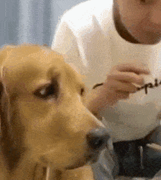 你的良心不会痛吗?