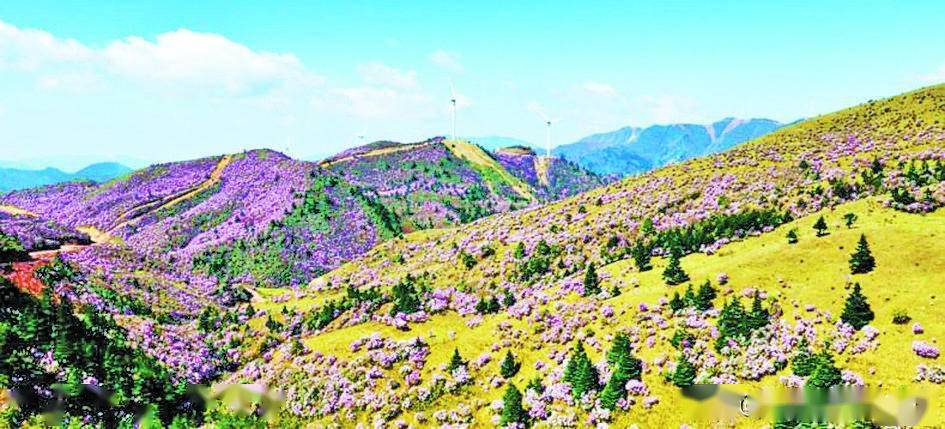 「区县新闻"三县一城"建设看未来宁南_旅游