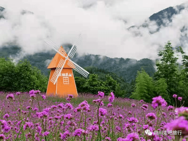 【一日游|周三】"熊猫香山 蟠龙谷"观紫色花海 戏水纳凉