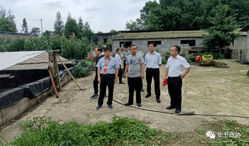 毕节市政协主席杨宏远率队开展赤水河流域七星关区段生态环境保护监督