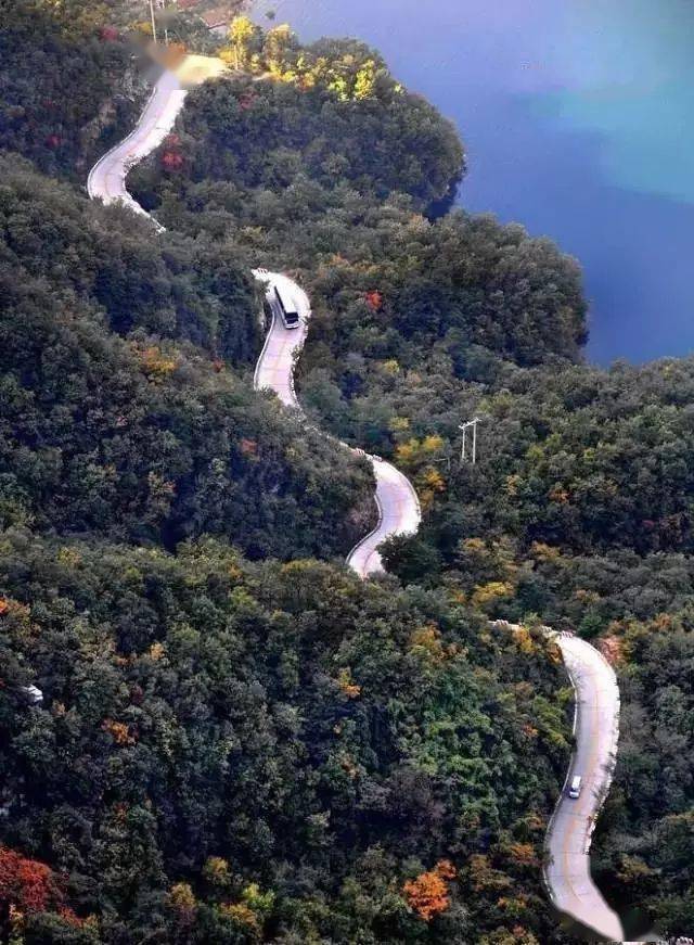 带你领略太行山—最美崖柏产地