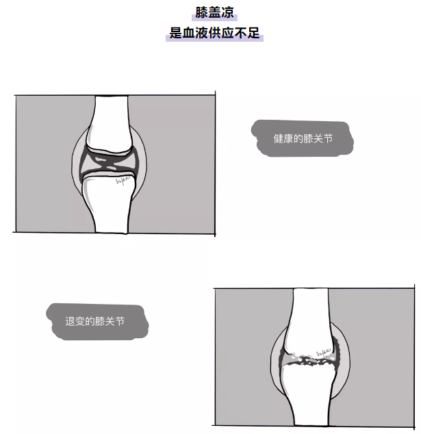【每日一讲】第373期 膝关节发凉的解剖学分析