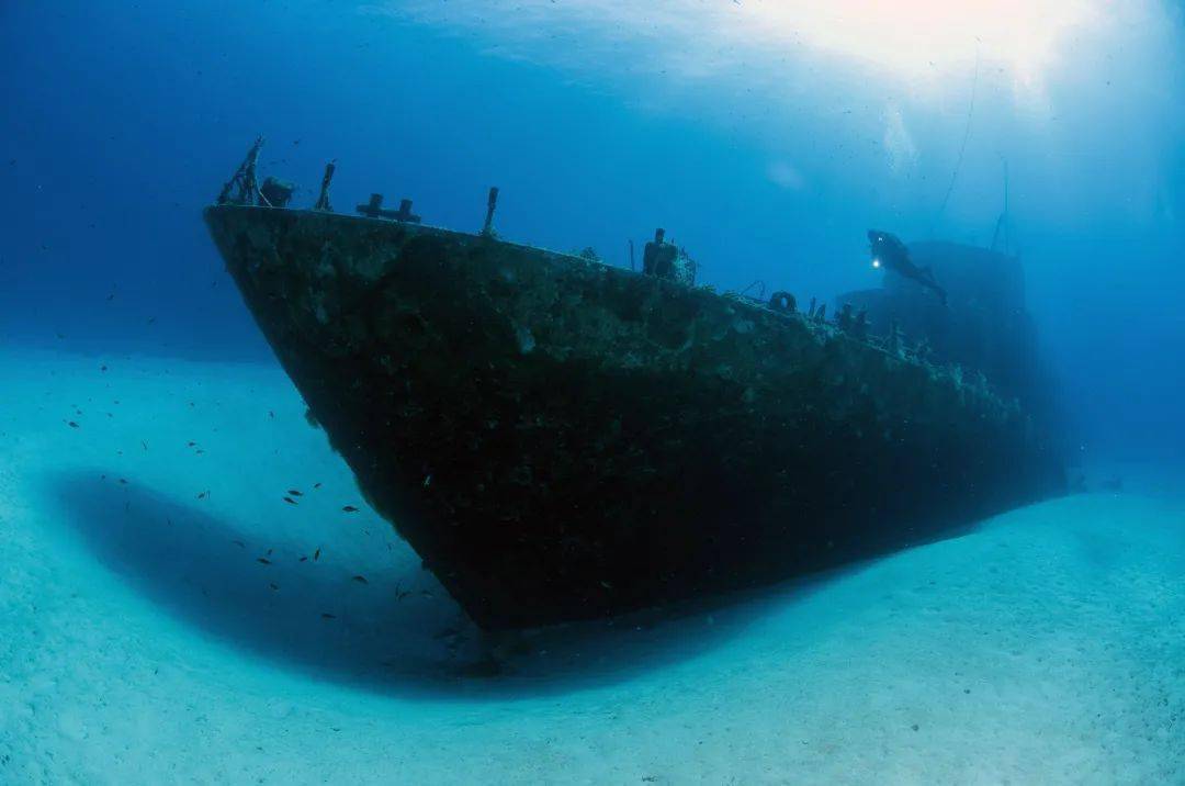 潜入地中海的海底听沉船遗迹讲讲马耳他的故事