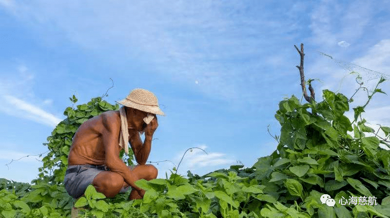 烈日下的农夫 | 周社根摄影