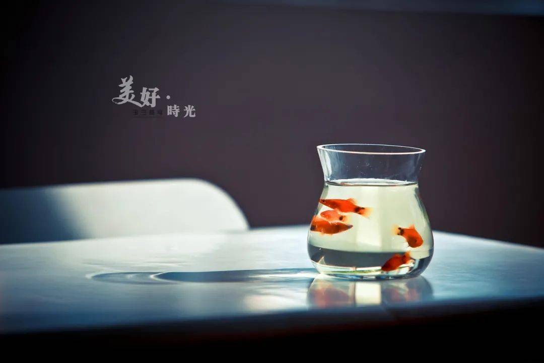 让人变快乐的两个字!(建议收藏)