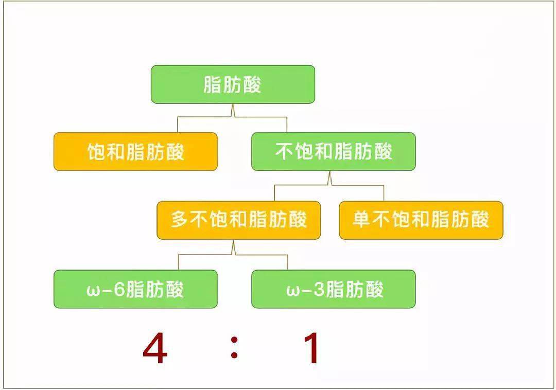 α-亚麻酸为什么被称为人体健康之宝?