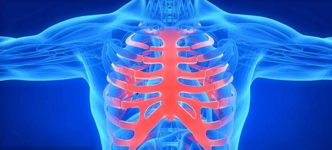 多发生在临近胸骨体与胸骨柄相连接的胸骨体部,骨折线常为横行或斜行