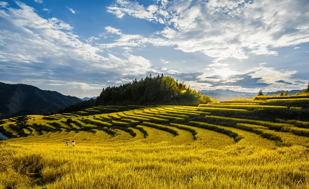 清远连山欧家梯田"能量治愈之旅" 让你身心融化于深山之间, 一次短暂